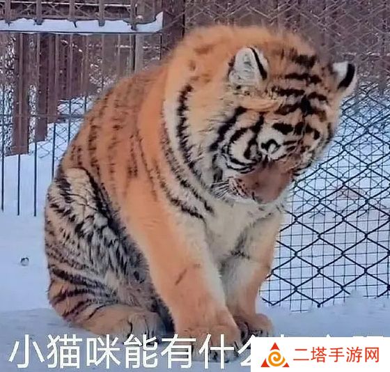 网络用语能有什么坏心眼呢是什么梗