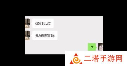 网络用语孔雀感冒是什么梗